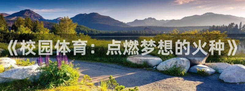bbin视讯游戏平台