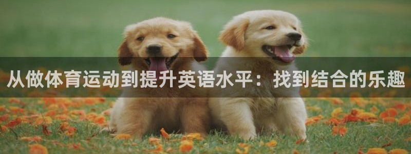 bbin视讯游戏平台