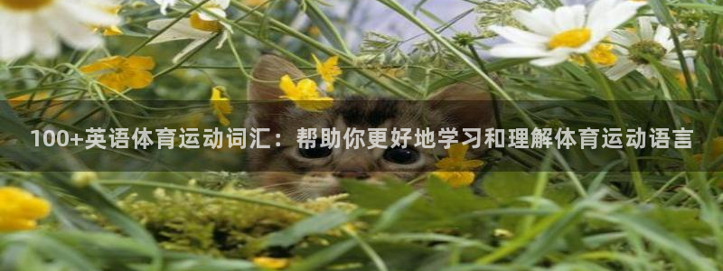 bbin视讯下