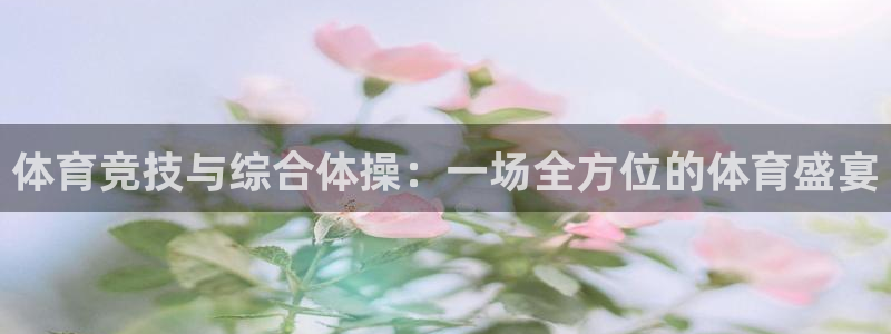 bbin视讯游戏平台