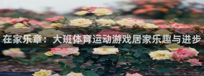 bbin视讯下