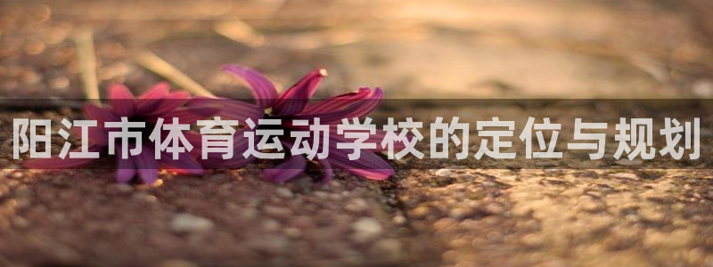 bbin视讯游戏平台