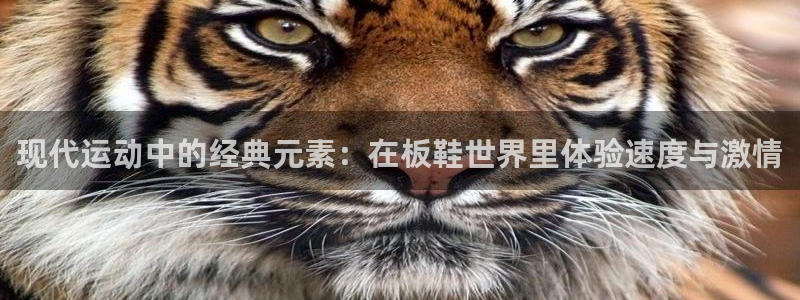 bbin视讯