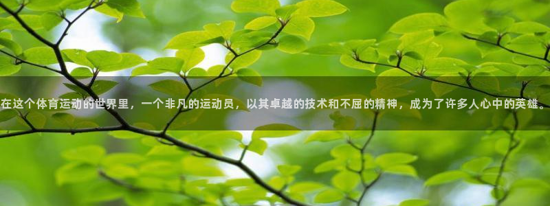 bbin视讯游戏官网