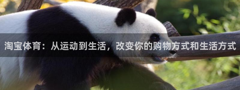 bbin视讯游戏官网