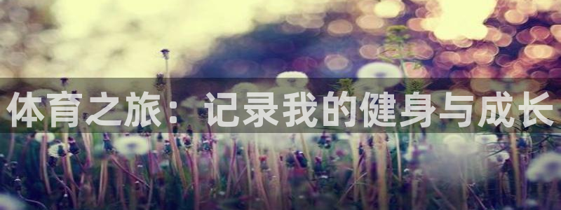 bbin视讯下